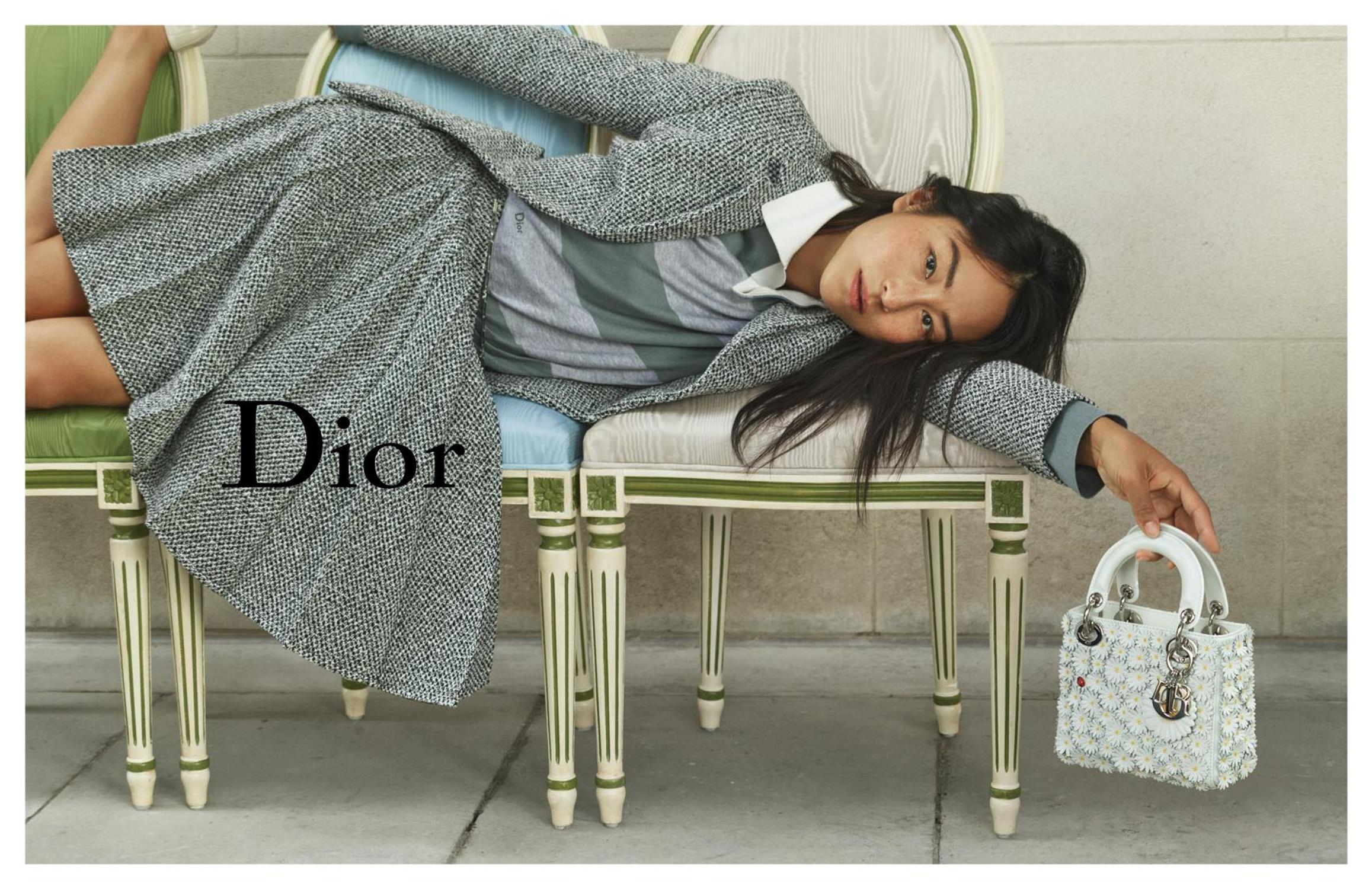 anderson sac de luxe dior