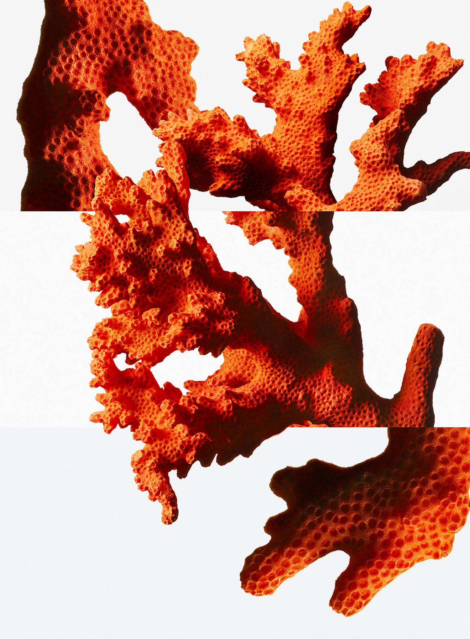 nom du nouveau parfum pour femme de chez herm&egrave;s en 2026