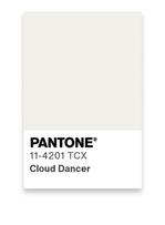 Le blanc Cloud Dancer de Pantone est la couleur de l'année 2026