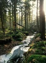 LVMH renforce son engagement RSE avec la signature d’un partenariat élargi avec l’UNESCO