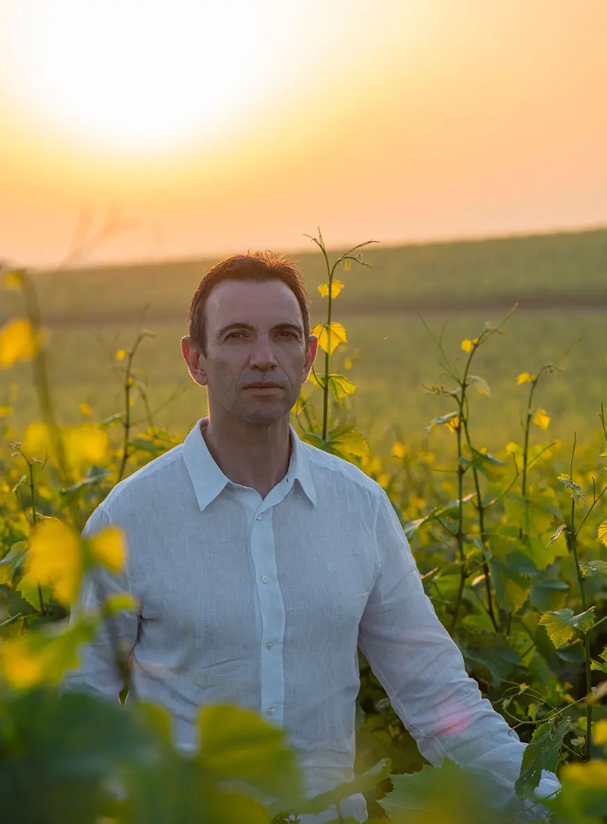 Chef de caves de ruinart, champagne, frederic panaiotis